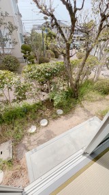 IMG_3301