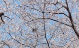 IMG_3358